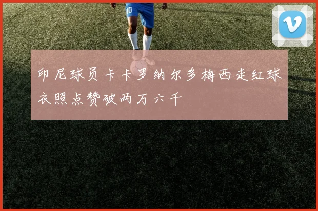 印尼球员卡卡罗纳尔多梅西走红球衣照点赞破两万六千