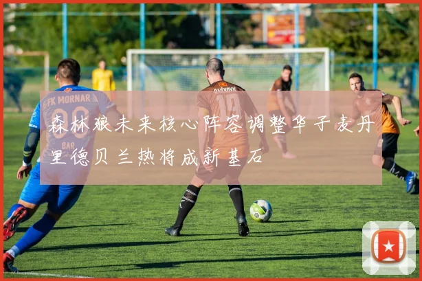 森林狼未来核心阵容调整华子麦丹里德贝兰热将成新基石
